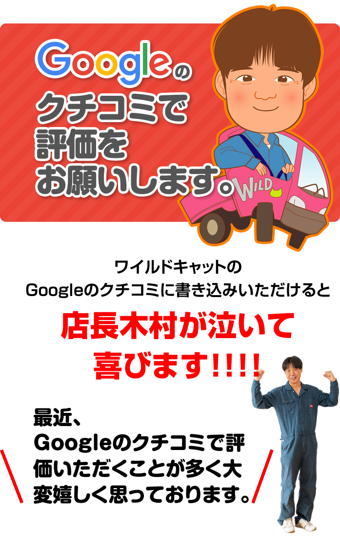 ワイルドキャットの
Googleのクチコミに書き込みいただけると店長木村が泣いて喜びます！！！！
