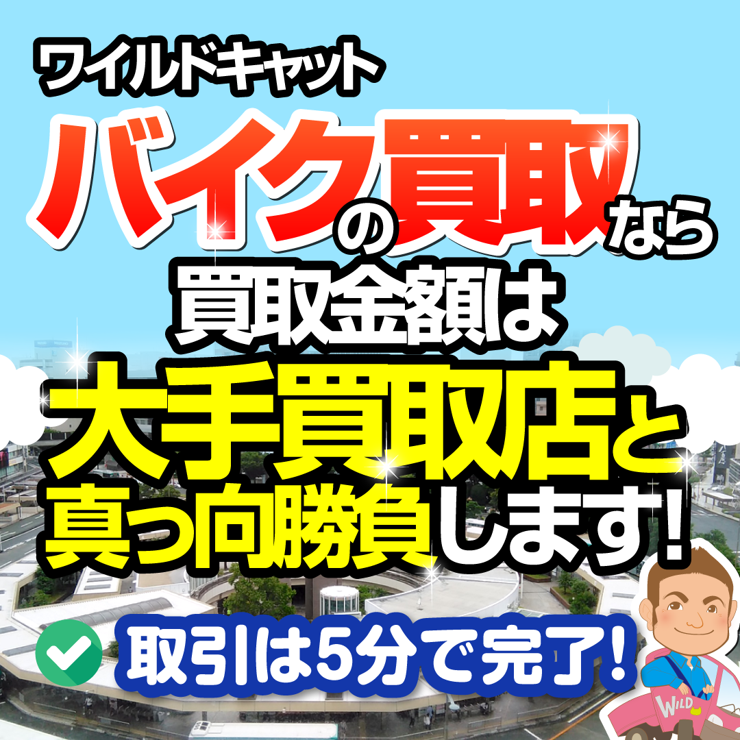 銀座通販 ワイルドキャット 値下げ可 コメント下さい エレキギター