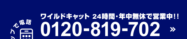 0120-819-702